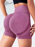 SHORTS FITNESS CINTURA ALTA & SECA RAPIDO