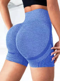 SHORTS FITNESS CINTURA ALTA & SECA RAPIDO
